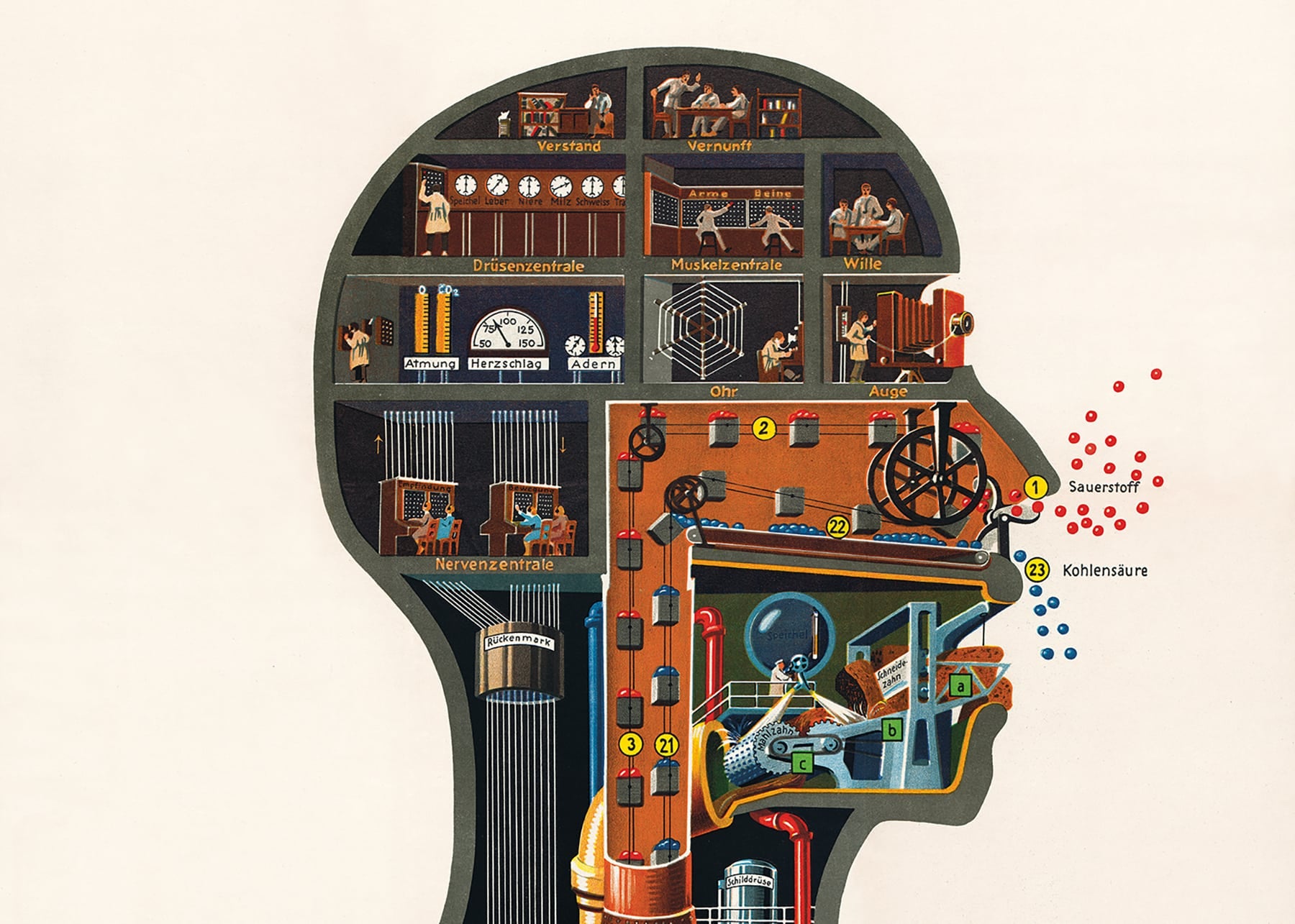 fritz kahn
