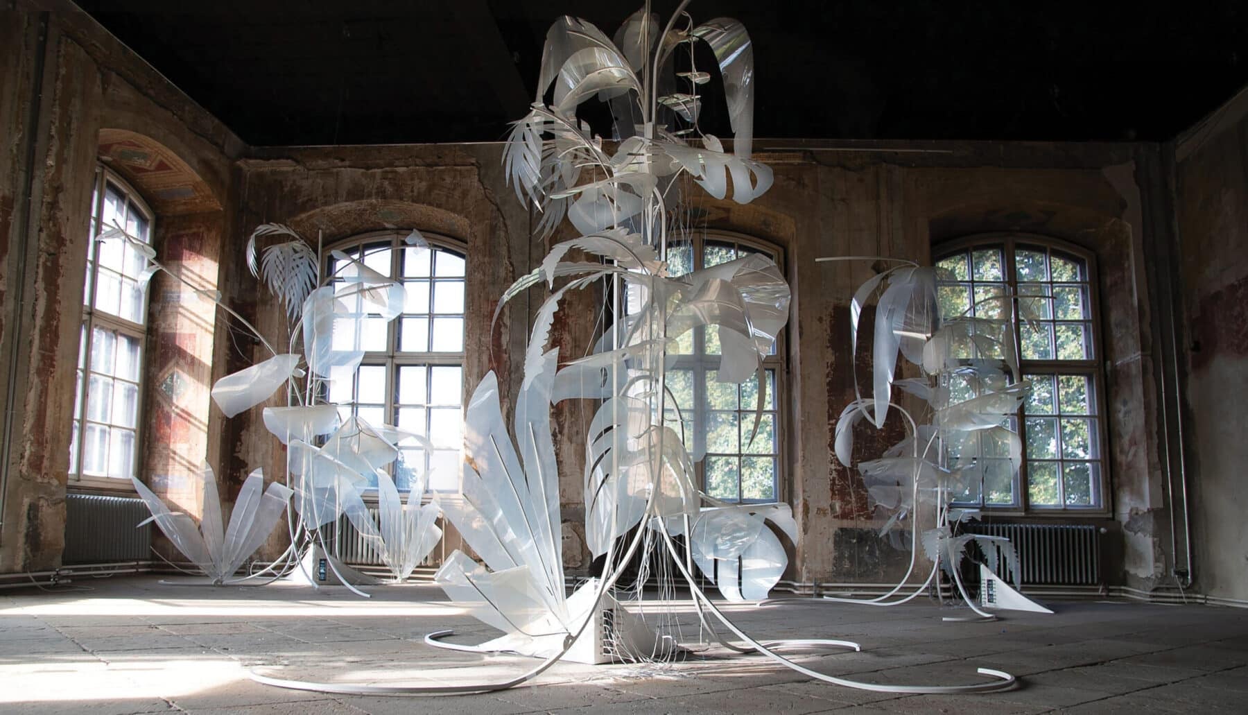 Thijs Biersteker, "Wither," 2021, in collaboration with Unesco at Staatliche Kunstsammlungen Dresden. Image by the artist.